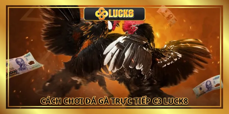 Người chơi cần biết luật đá gà trực tiếp C3 tại Luck8