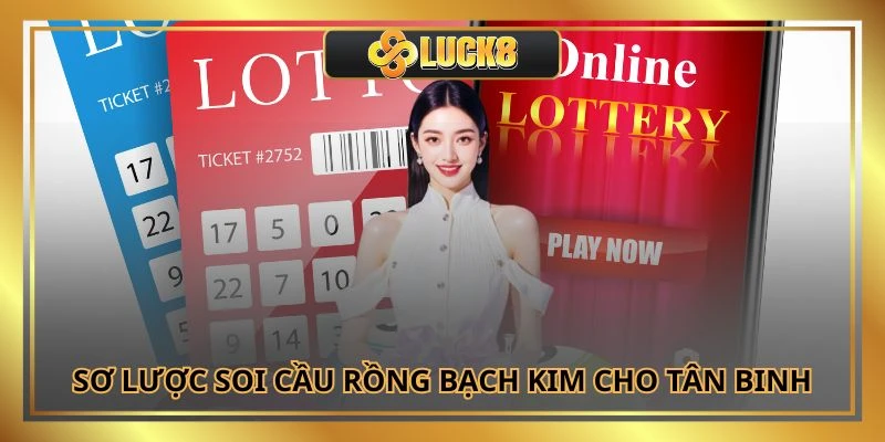 Sơ lược soi cầu rồng bạch kim cho tân binh